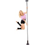 2 In 1 Dancing Fitness Pole Full Body Workout | BIG W