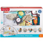 Fisher-Price Perfect Sense Deluxe Gym | BIG W