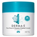 Derma E Tea Tree & Vitamin E Relief Cream 113g | BIG W