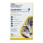 Revolution Plus Spot On Treatment for Kitten 1.25-2.5kg Yellow 3 Pack | BIG W