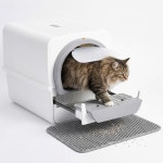 Stainless Steel Cat Litter Box XL Pet Toilet Kitty High Sided Enclosure Metal Pan Tray Potty Easy Clean 20L with Scoop Filter... 