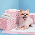 i.Pet Pet Training Pads 200pcs 60x60cm Puppy Dog Toilet Pee Indoor Super Absorbent Pink | BIG W