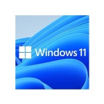 MICROSOFT Windows 11 Home OEM 64-bit English 1 Pack DVD. Key only. | BIG W
