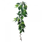 Eco Tech Super Spiral Vine Plant 80cm (ECT86) | BIG W
