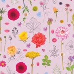 Wrapping Paper | Party | BIG W