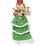 Christmas Tree Pet Costume - 30cm | BIG W