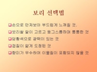 프리젠테이션 자료(식품영양_보리) | 비즈폼 - 샘플,양식 다운로드 프리젠테이션 자료(식품영양_보리) 샘플, 양식 다운로드