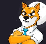 시바이누, 미 거래소 제미니 상장 도지코인과 경쟁 가열 - 코인정보 - 코인판