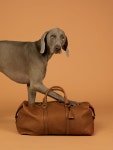2015 Luxury Gift Guide for Women, Men, Travel and Home The 2015 Bloomberg Pursuits Holiday Gift Guide
