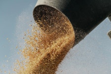 Family Farms Navigate Risk in the New Economy