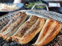블루리본 서베이 달빛장어