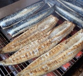 블루리본 서베이 영천수산