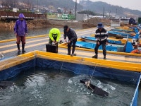보도뉴스