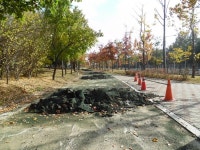 고양시 일산동구, 경의로 녹지대 산책로 정비공사 시행  고양시 일산동구, 경의로 녹지대 산책로 정비공사 시행