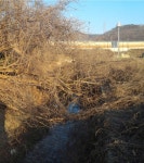 안산시‘안전한 하천 만들기 사업’추진  안산시‘안전한 하천 만들기 사업’추진