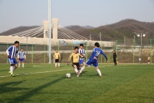 광주시 초월읍, 제10회 초월읍 체육회장기 축구대회 성료  광주시 초월읍, 제10회 초월읍 체육회장기 축구대회 성료