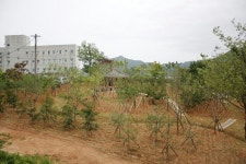 나주 진산요양원 ‘복지시설 나눔숲’조성  나주 진산요양원 ‘복지시설 나눔숲’조성