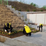 동두천시 사회복지과, 안흥동 공설묘지 봄맞이 봄꽃 심기  동두천시 사회복지과, 안흥동 공설묘지 봄맞이 봄꽃 심기