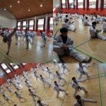관악구,금천구태권도협회 ˝품새 및 심폐소생술 안전교육˝ 개최:경인투데이뉴스 ≪경인투데이뉴스≫ 관악구,금천구태권도협회 ˝품새 및... 