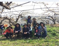 아산시 둔포면, 봄 영농철 배 화접 농촌일손돕기 지원 나서  아산시 둔포면, 봄 영농철 배 화접 농촌일손돕기 지원 나서