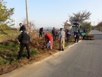 아산시 온양3동, 신2통 마을입구에 영산홍 식재  아산시 온양3동, 신2통 마을입구에 영산홍 식재