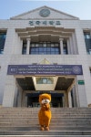 충주대학교 맞은 편 철길 뒤 | [충주시] 대학 캠퍼스서 인기 실감 [충주시] 대학 캠퍼스서 인기 실감