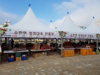 포토갤러리 - 보은군청