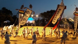 포토갤러리 - 보은군청