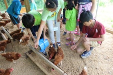 농촌체험농장 - 농업기술센터