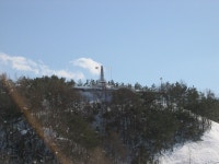 포토갤러리 - 보은군청