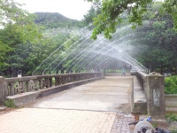 포토갤러리 - 보은군청