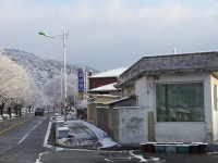 포토갤러리 - 보은군청