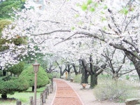 포토갤러리 상세 - 속리산면 - 행정복지센터 - 보은군소개 - 보은군청 포토갤러리 | 보은군청