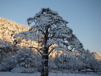 포토갤러리 상세 - 속리산면 - 행정복지센터 - 보은군소개 - 보은군청 포토갤러리 | 보은군청