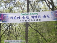 포토갤러리 상세 - 속리산면 - 행정복지센터 - 보은군소개 - 보은군청 포토갤러리 | 보은군청