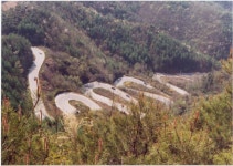 포토갤러리 상세 - 장안면 - 행정복지센터 - 보은군소개 - 보은군청 포토갤러리 | 보은군청