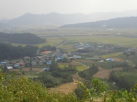 포토갤러리 - 보은군청