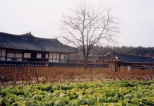 포토갤러리 - 보은군청