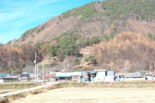 포토갤러리 상세 - 회인면 - 행정복지센터 - 보은군소개 - 보은군청 포토갤러리 | 보은군청