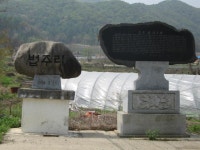 포토갤러리 - 보은군청