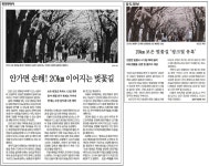 공지사항 정이품 페이지 제목 표시