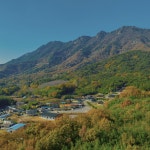 본흑염소능이삼계탕 본아이에프