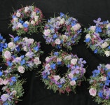 갤러리 - 크란츠 실습 크란츠 실습