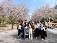BaekSeok Culture Univ. - 벚꽃로 신입생들과 함께! K2WebWizard