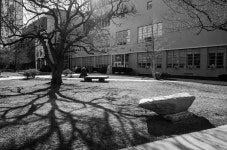 Photographing Boston under COVID-19: A Personal Vision in Black-and-White | BU Today | Boston University Photographing Boston... 