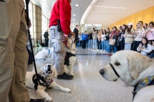 PuppyPalooza at Agganis with Bean and Friends | BU Today | Boston University