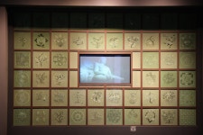 부안청자박물관 >부안청자박물관 > 전시실 안내 > 2층 > 청자역사실