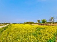 줄포만갯벌생태공원 >커뮤니티 > 줄포만갯벌생태공원의 지금 상세 페이지