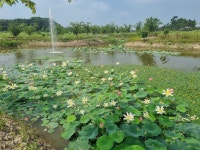 줄포만갯벌생태공원 >커뮤니티 > 줄포만갯벌생태공원의 지금 상세 페이지