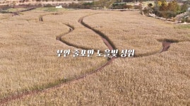 부안 줄포만 노을빛 정원>커뮤니티 > 부안 줄포만 노을빛 정원 상세 페이지